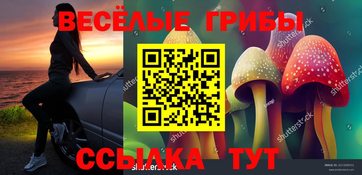 Павлово  Галлюциногенные грибы прущие грибы  Вход с VPN 
